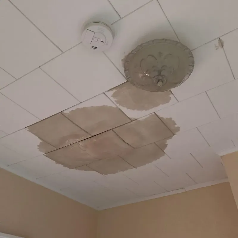 Ceiling Water Damage Repair in Perryman, MD